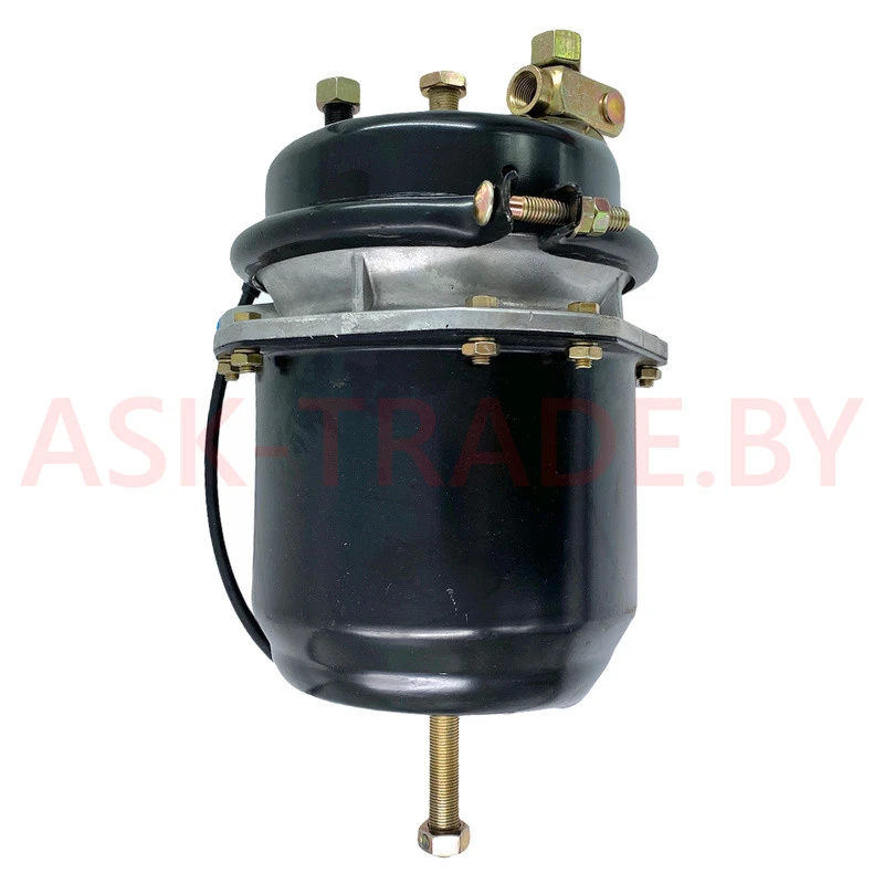 Камера тормозная задняя ТИП 30/30  30.3519300 (коротк. шток)