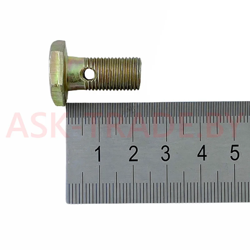 Болт М10*21 маслопровода осей суппорта н/о 310122-П29