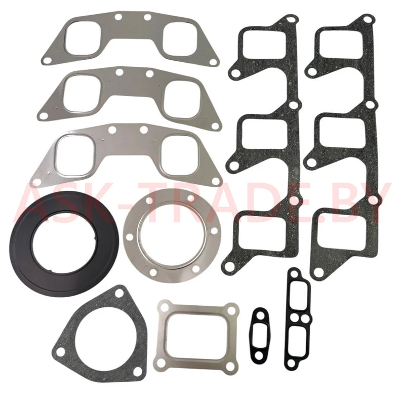 Рк прокладок двигателя 650-2000005-05 полный