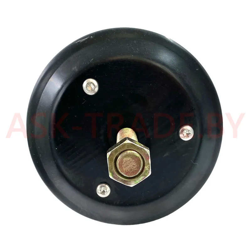 Камера тормозная задняя ТИП 16/16 4370-3519200